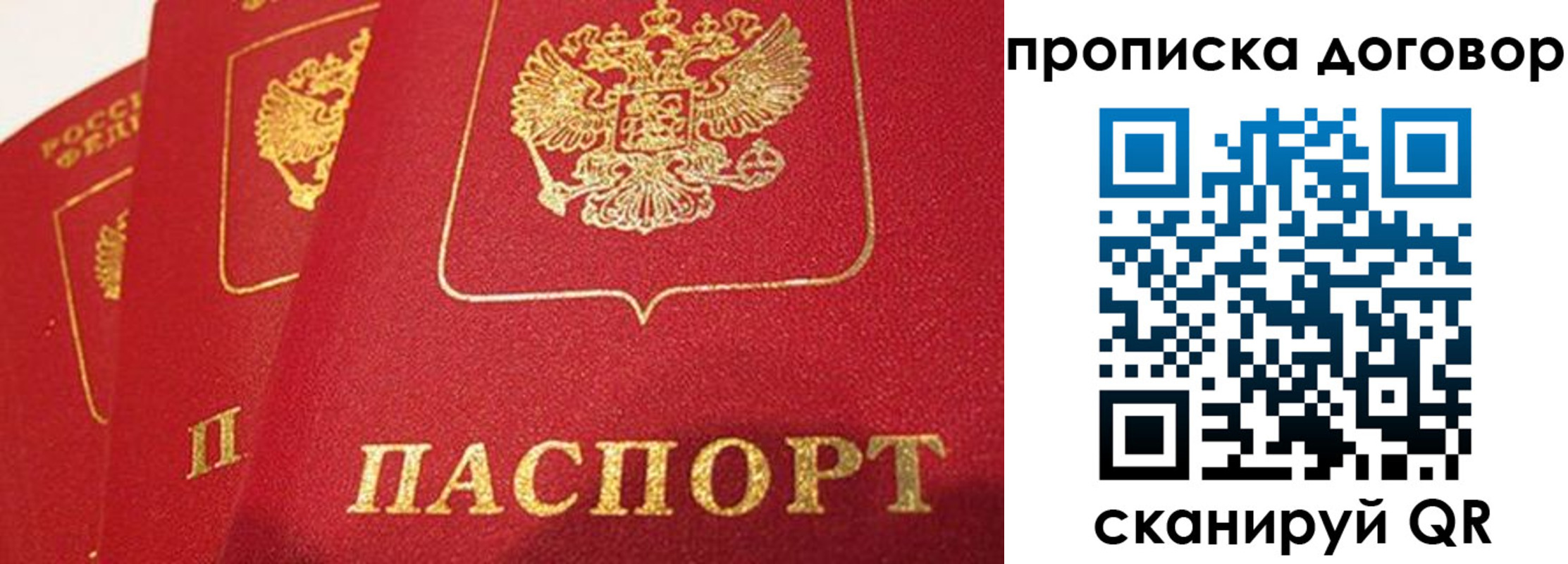 найти адрес прописки в Сосновом Бору